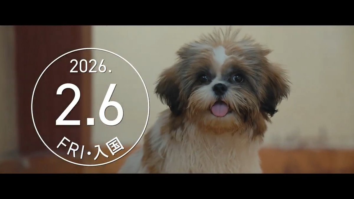 ワケあり家族が異国の地で巻き起こす、ささやかな奇跡とは?! 映画『ツーリストファミリー』60秒版予告編🎬 いよいよ明日2月6日(金)より全国公開🎬 今週末はぜひ劇場へお出かけください。 #ツーリストファミリー #インド映画