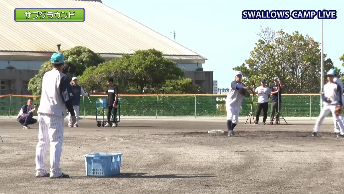 6-4-3 流れるような送球練習 武岡龍世、内山壮真、伊藤琉偉 🌸ヤクルト 春季キャンプ #swallows #だったらDAZN DAZNならキャンプ・オープン戦も！ 月々2,300円 （年間プラン・月々払い） 今なら年間契約の初月無料 4/19(日)まで⏩