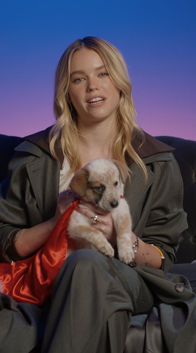 Out-of-this-world cuteness. Watch #PuppyBowl Sunday at 2pm ET | 11am PT on Animal Planet, and don’t miss #Supergirl in theaters June 26.