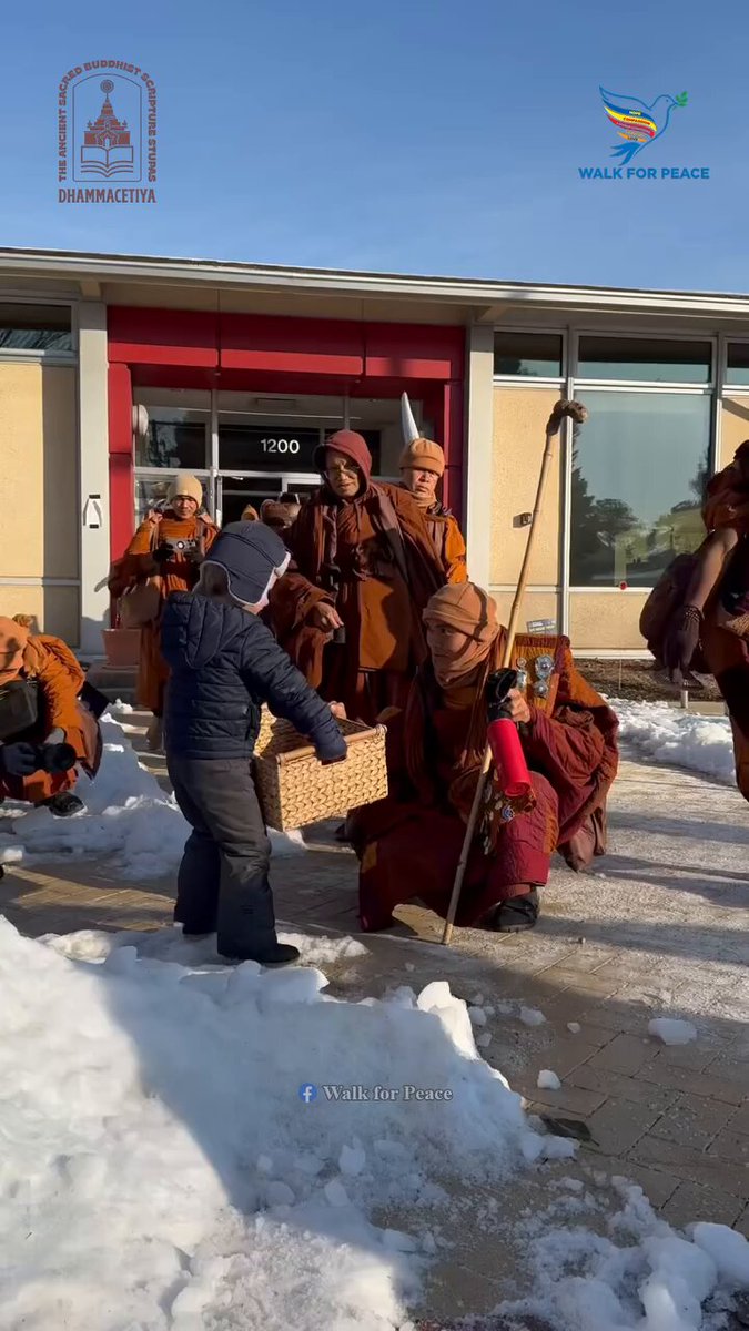 🍀☮️his monk walk is one of the things online 💙 that is restoring my faith in humanity. Every day I shed a tear.🕊 😇😇😇🍀🌿☸️ #WalkForPeace #AlokaThePeaceDog🪷 #BuddhistMonks #PeaceJourney