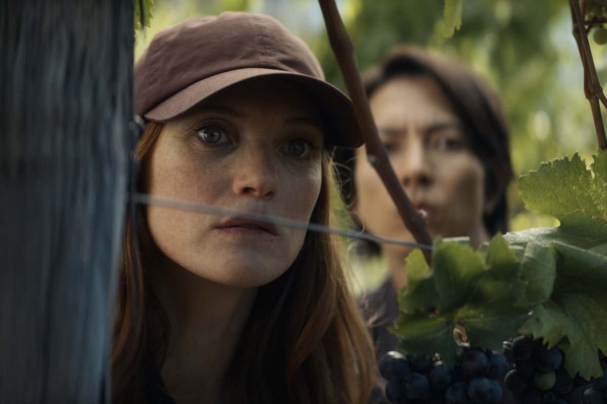Hiding out in a wine vineyard has its perks. #DropsOfGod Season 2 — Now Streaming