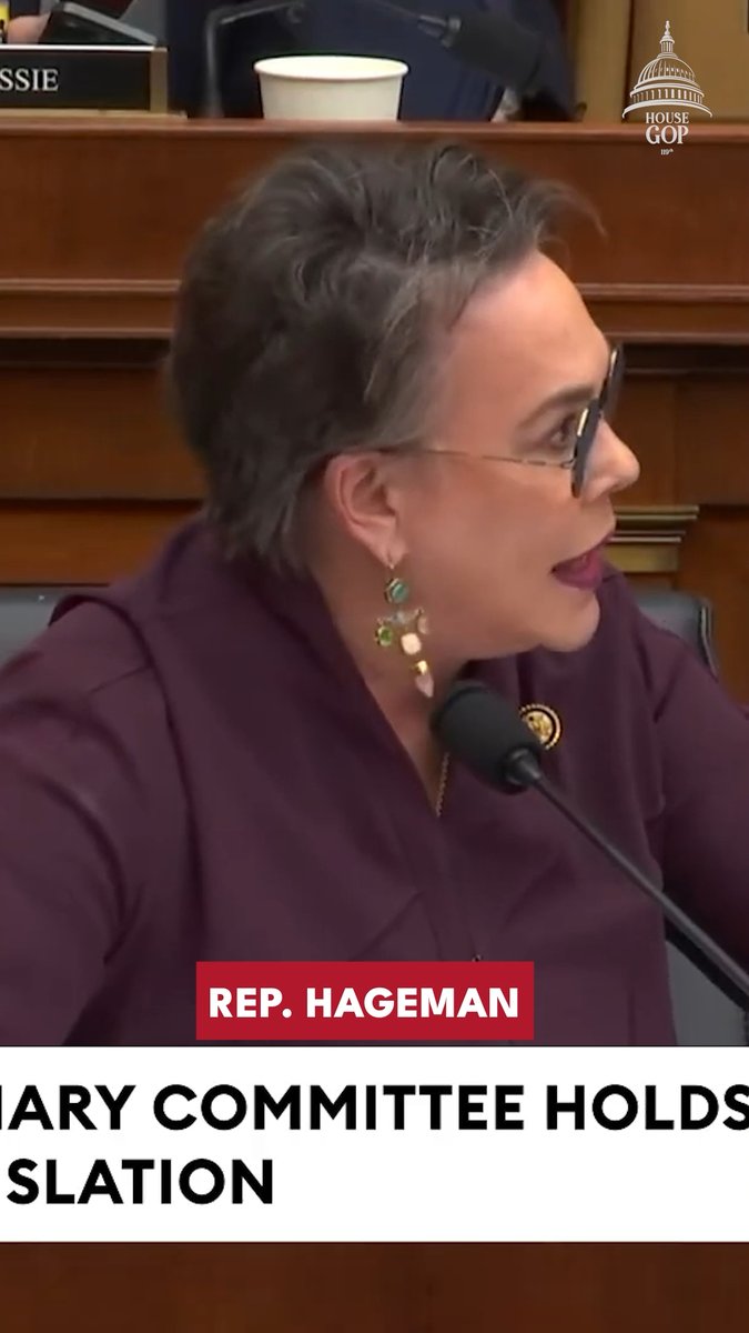 At Olympics and beyond, women are PAYING THE PRICE when they’re forced to compete against men. Nearly $500K in prize money and 2,000 gold medals—STOLEN. It’s not just unfair, but unsafe! WATCH House Republicans stand up for female athletes during a House Judiciary GOP 🇺🇸🇺🇸🇺🇸 hearing.