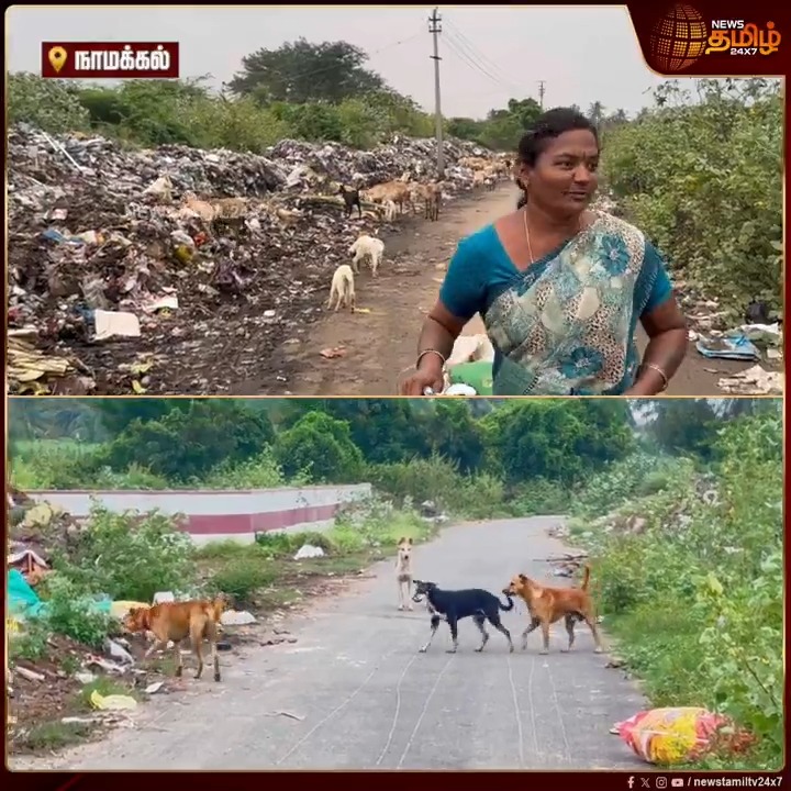 எங்க ஊர் சுத்தமா இல்லை குப்பையா இருக்கு.. இப்படியே போச்சுனா நோய் தான் வரும்.. நடவடிக்கை எடுக்க கோரிக்கை வைத்த பெண்.! #Namakkal #kuppaiissues #ViralVideo #நியூஸ்தமிழ் #நியூஸ்தமிழ்24x7 #Newstamil24x7