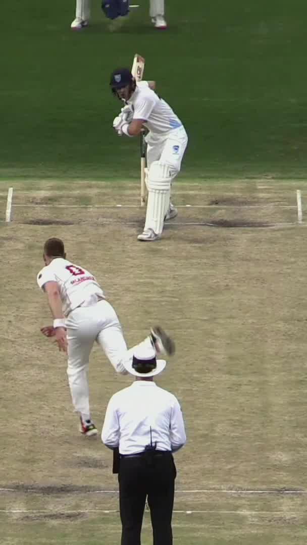 Two types of leaves...😂 #SheffieldShield