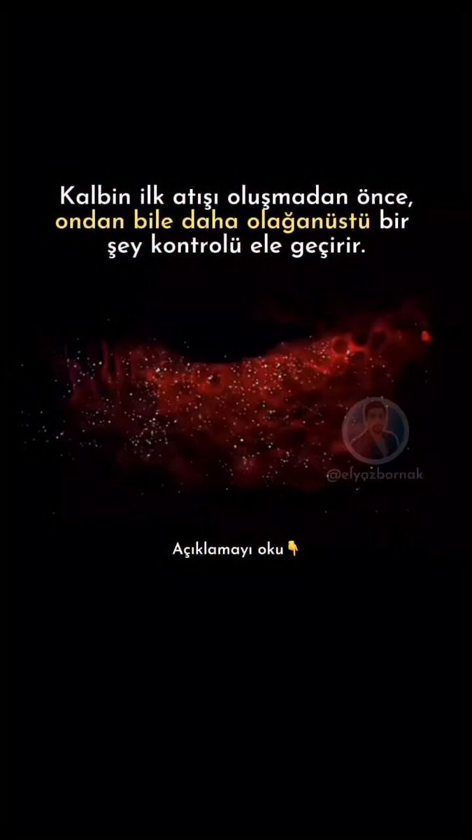 Bilim insanları, ilk kalp atısı baslamadan saniyeler önce, kalp hücrelerinin koordineli bir elektriksel ritimde kendi kendini organize ettiği tam anı yakaladılar. Bu asamada henüz bir kalp olusumu yok Bunun yerine, binlerce hücre elektriksel olarak senkronize olur, ++
