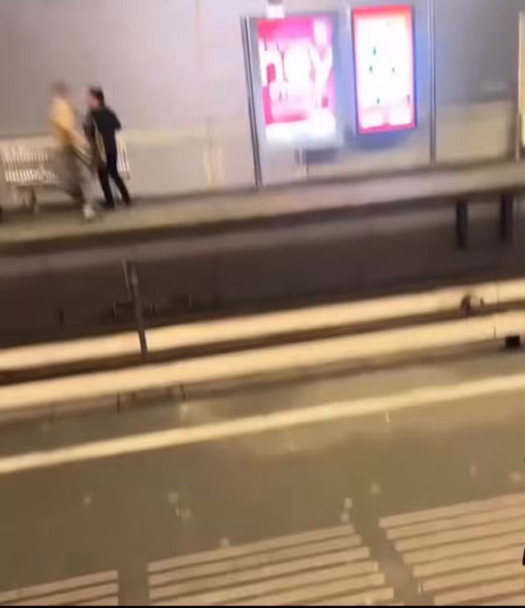 Van geimporteerd paradepaardje naar politiedossier. Wanneer komt er eens actie van de overheid op deze loopgordijnen?