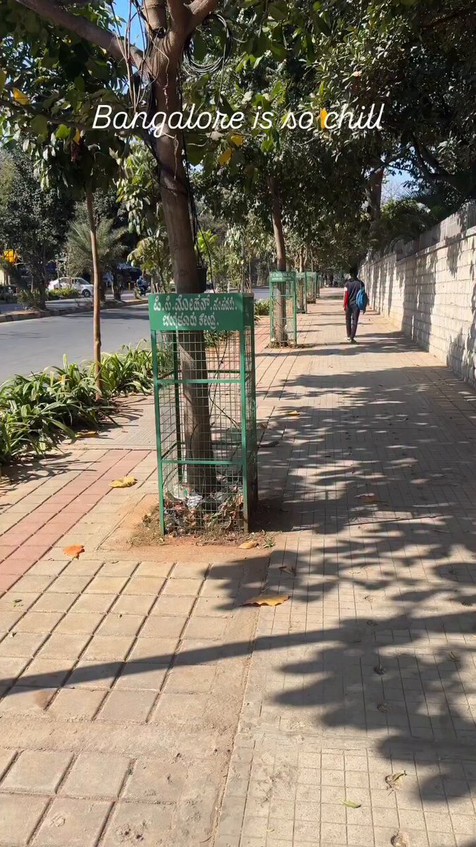Guys, look at how clean and chill Bangalore is. Bro, it’s my first time here, and the whole vibe is different. I’m impressed, it’s really cool and super clean. Cleanliness, nice. 5⭐️ for Bangalore, bro. Just hope no auto driver beats me up for speaking Hindi. 🛺🤣😂🤣 Everything else is awesome, damn.