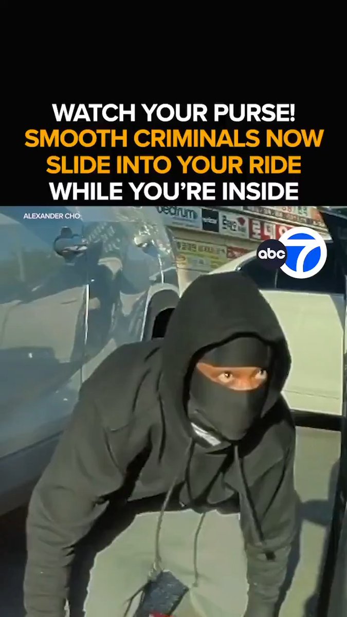 Tesla cameras show a masked criminal with his pants below his ass stealing a purse from a vehicle in Korea Town in Los Angeles. Plan accordingly... #CityLife #crime #diversity #tesla #LosAngeles #koreatown #california #3rdWorld #urban #democrats #한국타운 #한국 #범죄