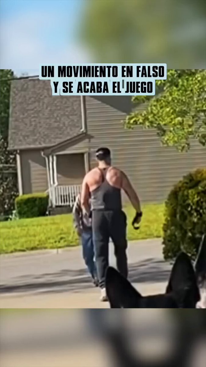 Perros entrenados protegen a la niña.