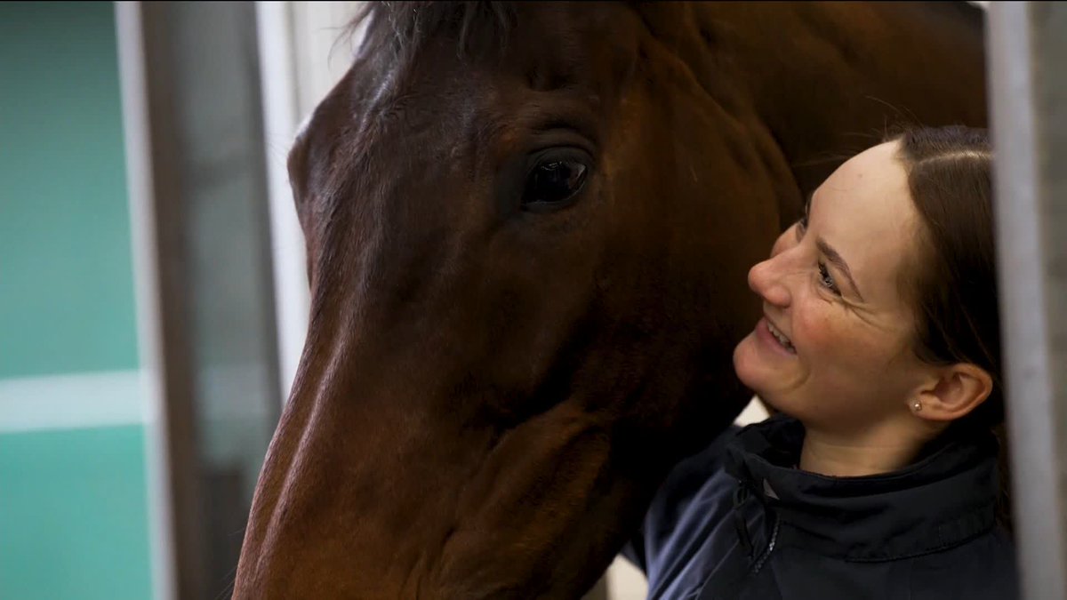 Wonderful to see Crambo enjoying his retirement 🥰 #ITVRacing | Great British Racing | Fergal O'Brien Racing