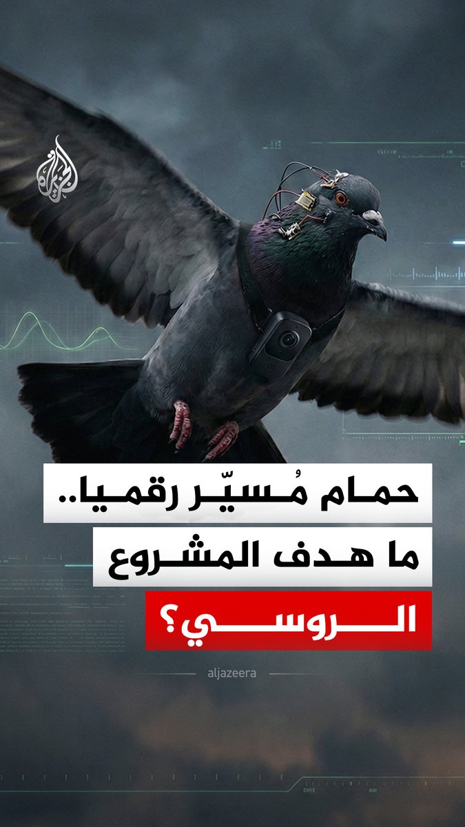 رقائق في أدمغة الطيور وكاميرات على صدورها.. مشروع روسي يُحوّل الحمام إلى منصّات مراقبة، ما أهدافه؟ #الجزيرة_رقمي
