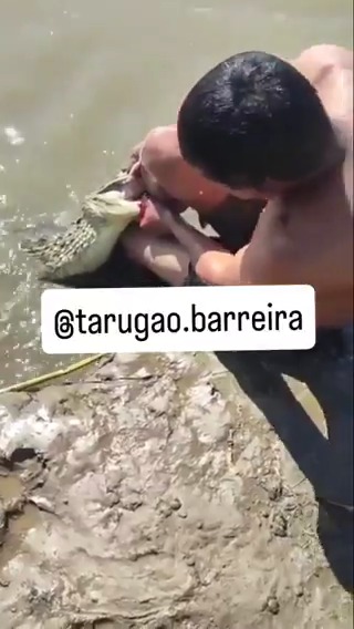 The crocodile was waiting for him the whole day