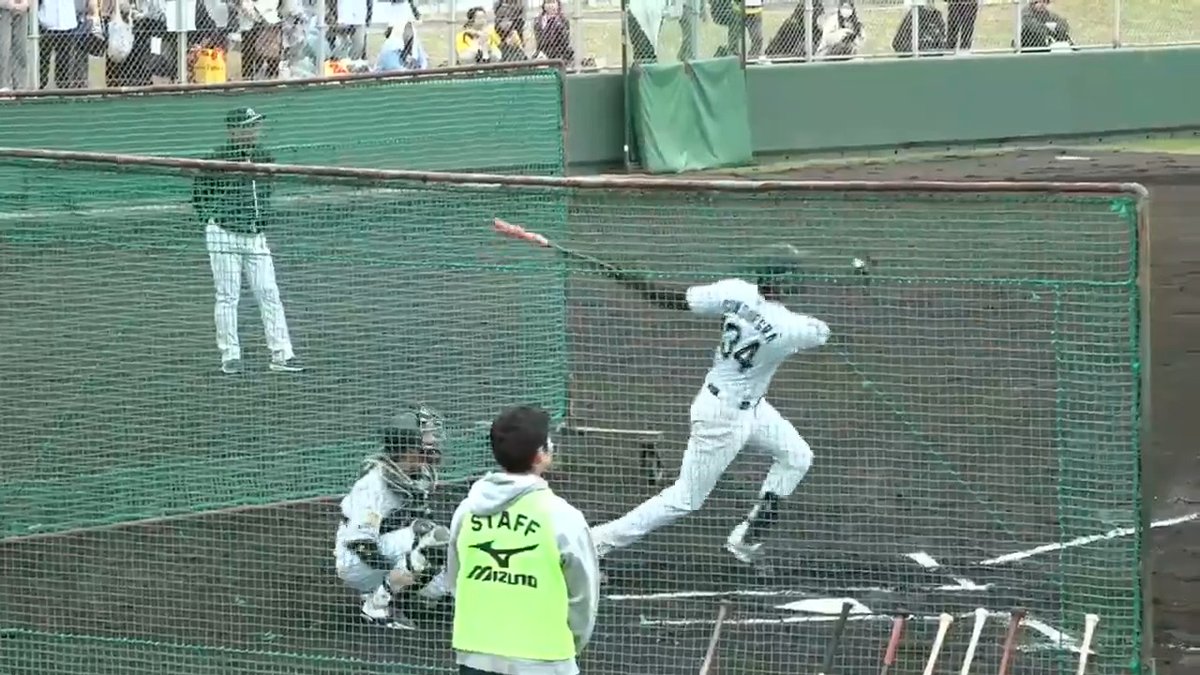 【具志川】 自慢の怪力で左中間柵越えの打球を放つコンスエグラ選手! #hanshin #虎テレ #阪神タイガース #熱覇 虎テレでは春季キャンプをライブ配信