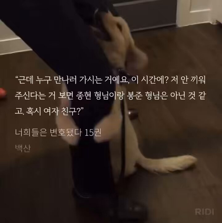 강아지 두고 나가지 마세요