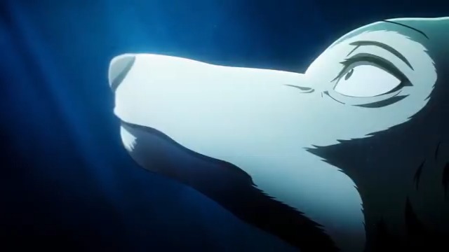 ◤◢◤◢◤◢◤◢◤◢◤◢◤◢◤◢ アニメ『#BEASTARS』シリーズ プレイバック ◤◢◤◢◤◢◤◢◤◢◤◢◤◢◤◢ TVアニメ「BEASTARS」 第1期 EDテーマ #YURiKA「Le zoo」 第1期各媒体で好評配信中🎥 完結作『BEASTARS FINAL SEASON』Part2は 2026年3月Netflixにて独占配信✨ #bstanime
