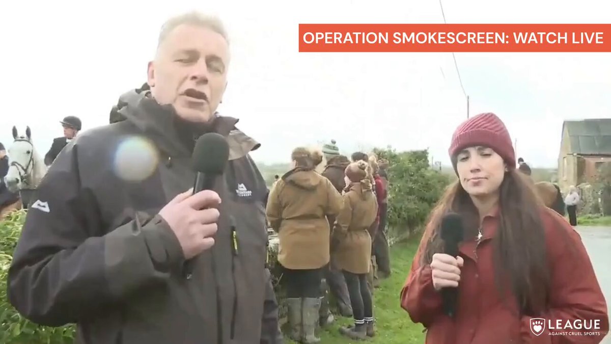 Watch Chris Packham LIVE now observing the horrendous BSV hunt