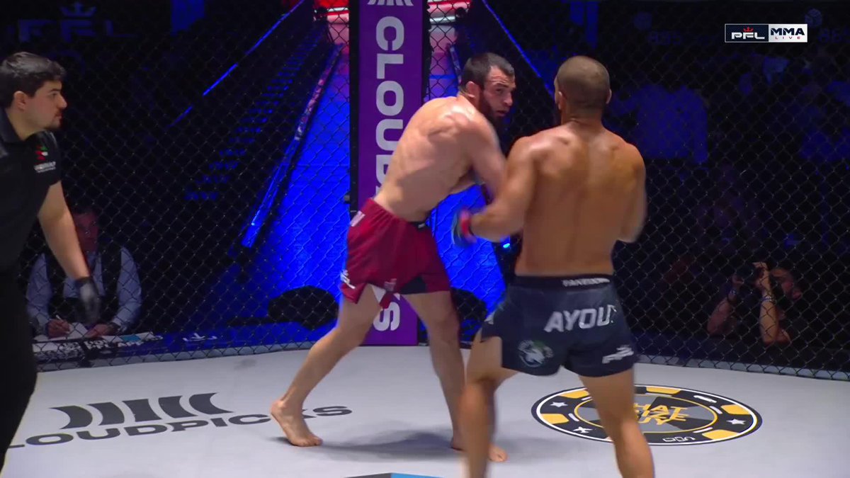 Le spinning backfist de Amin Ayoub 🔥
