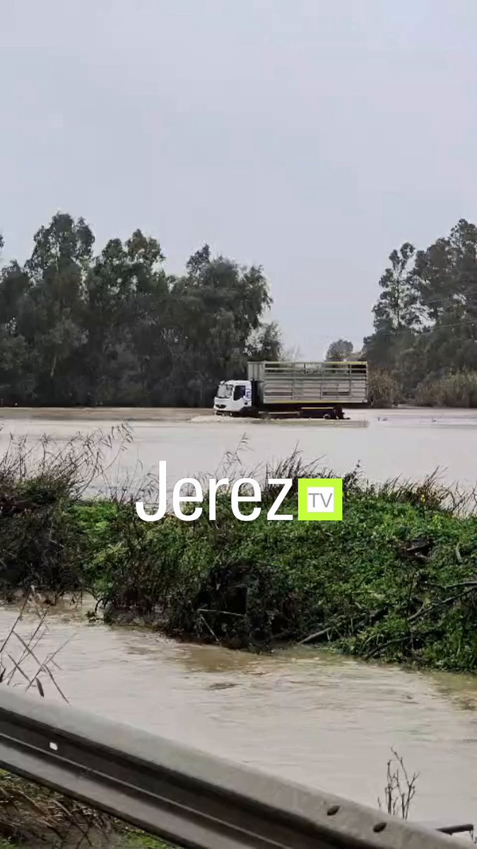 🔴 ÚLTIMA HORA | Evacuadas más de 70 cabezas de ganado con riesgo de ahogamiento en una finca en El Torno. El propio alcalde, Francisco Javier Fuentes narra el video el proceso del rescate y su puesta a salvo. #ElTorno #JerezTV #JerezAhora #JerezTelevision #JerezAhora #Marta