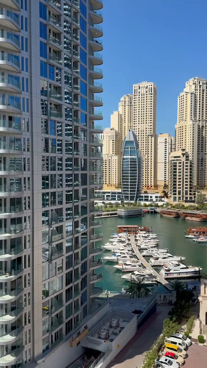 الإمارات… بابٌ مفتوح لكل إنسانٍ محترم!