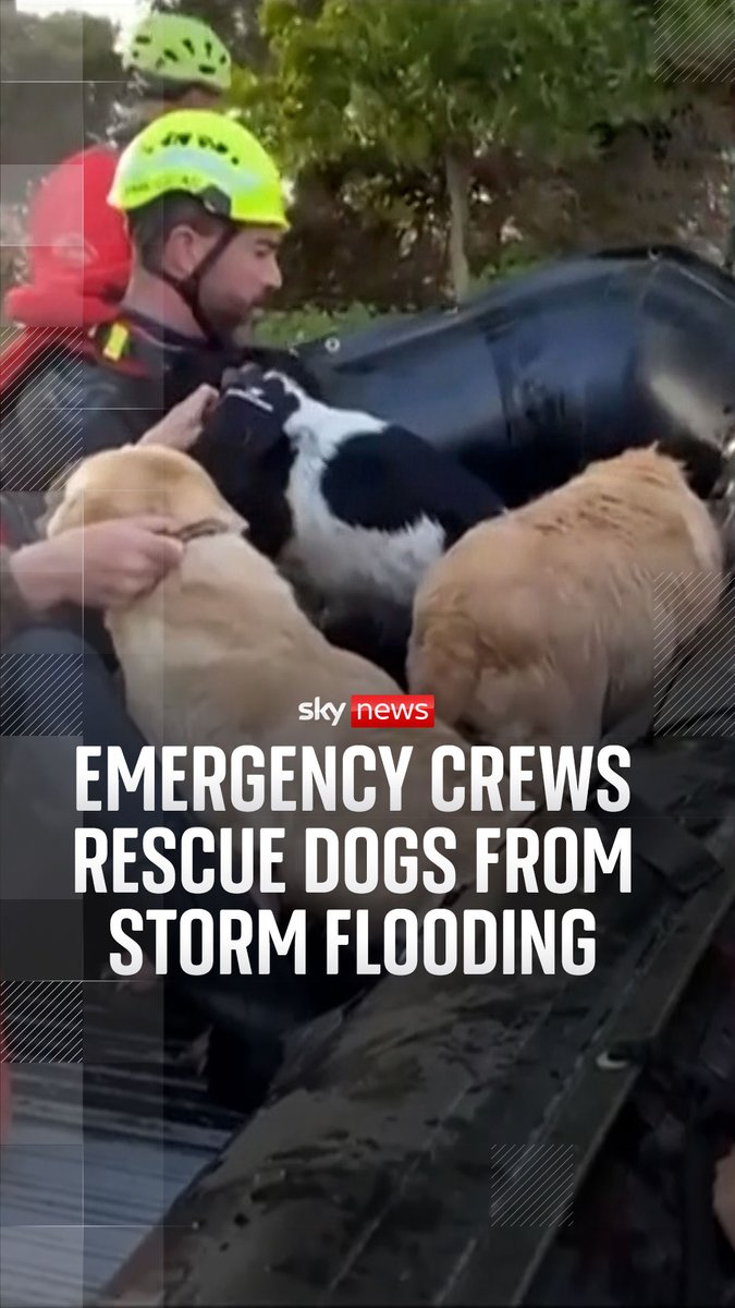 Thousands of people and their pets have been evacuated from their homes in Spain and Portugal as Storm Leonardo continues to batter the Iberian Peninsula. Read more ➡️