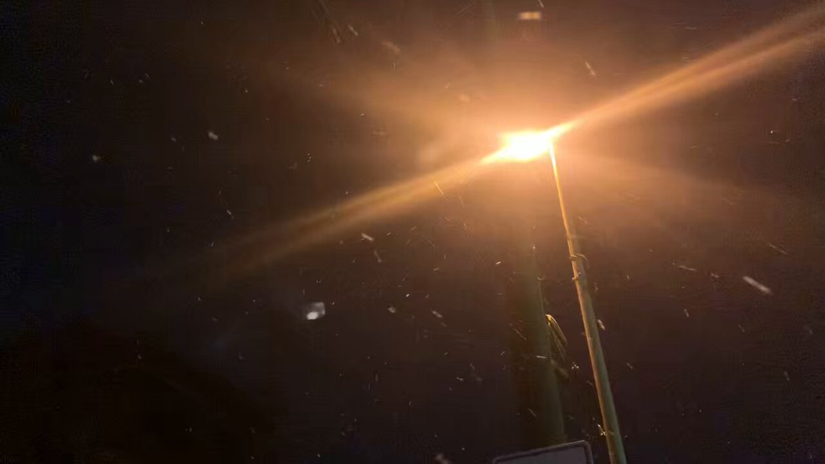 午前4時１０分。鹿児島市内で雪が舞い始めました。気温は２．２℃。KTS周辺（紫原）の道路はまだ乾いています。 現在、薩摩地方を中心に雪雲が流れ込んでいて、山地では雪が降っていると思われます☃️峠道の通行は注意が必要です。 伊佐市大口と溝辺町は氷点下になっています。