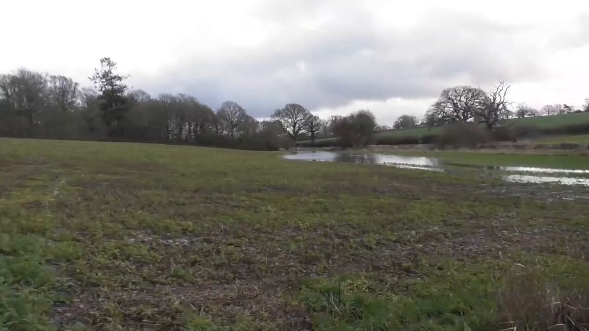 The Blackmore and Sparkford Vale Hunt were eager to kill a fox today in front of Chris Packham and Megan McCubbin on their live steam. South Wessex Hunt Sabs joined us today and saved this poor fox being chased over flooded fields at Bishop's Down