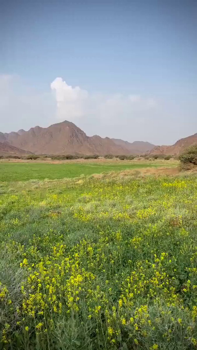 النبهانيه 💐😍