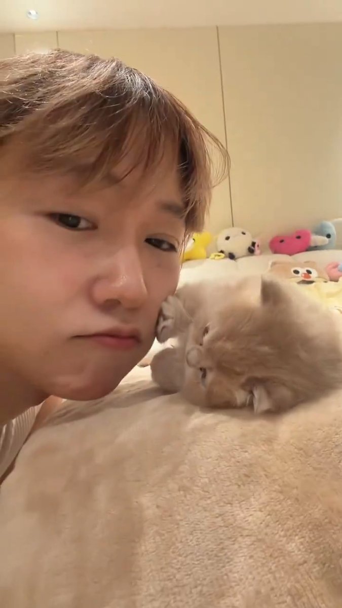 sweet cute little kitten 😽❤️