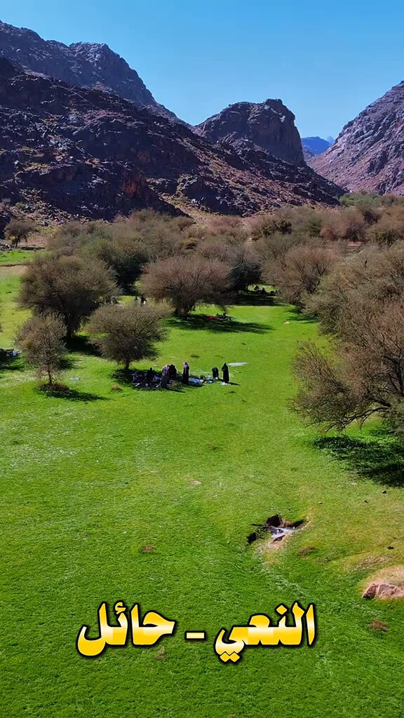ربيع النعي حايل 🌿