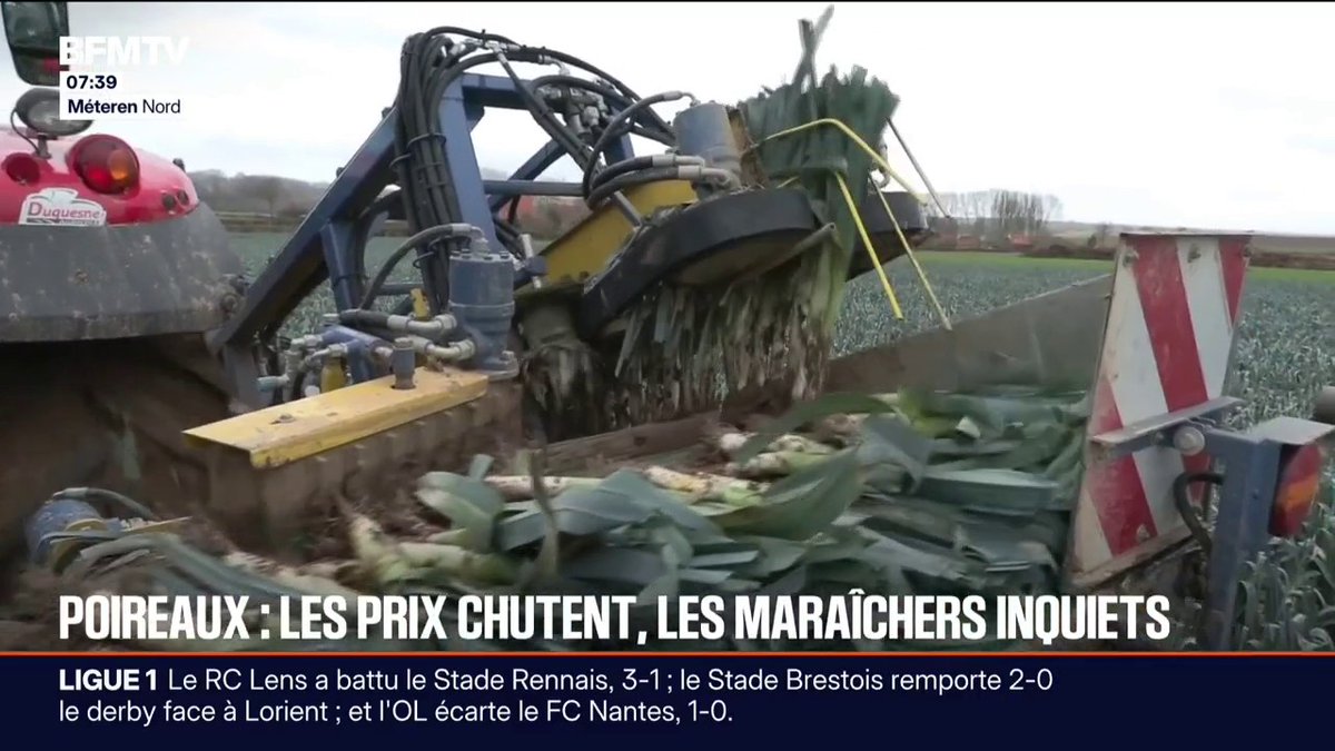 Les maraîchers inquiets de la chute du prix des poireaux