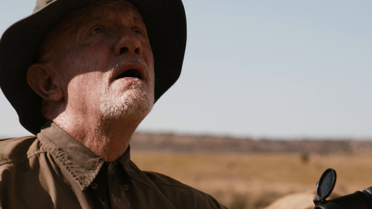 Le spin-off de Breaking Bad a déjà 11 ans. La série BETTER CALL SAUL, c’est toujours dispo.