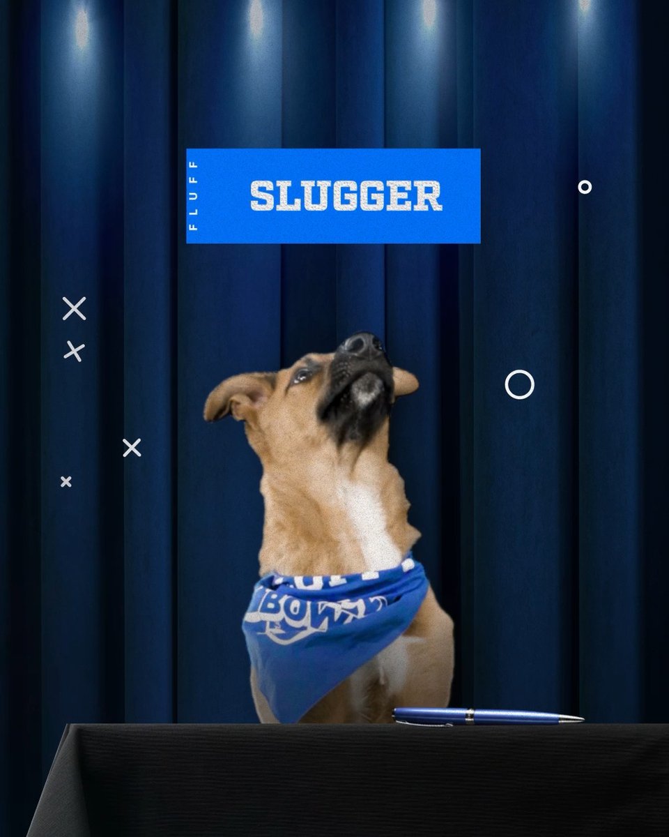 Our dawg is ready to play! See Slugger hit the #PuppyBowl field TODAY 2p ET | 11a PT on Animal Planet.