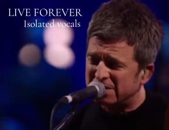 Noel Gallagher - Live Forever (isolated vocals)