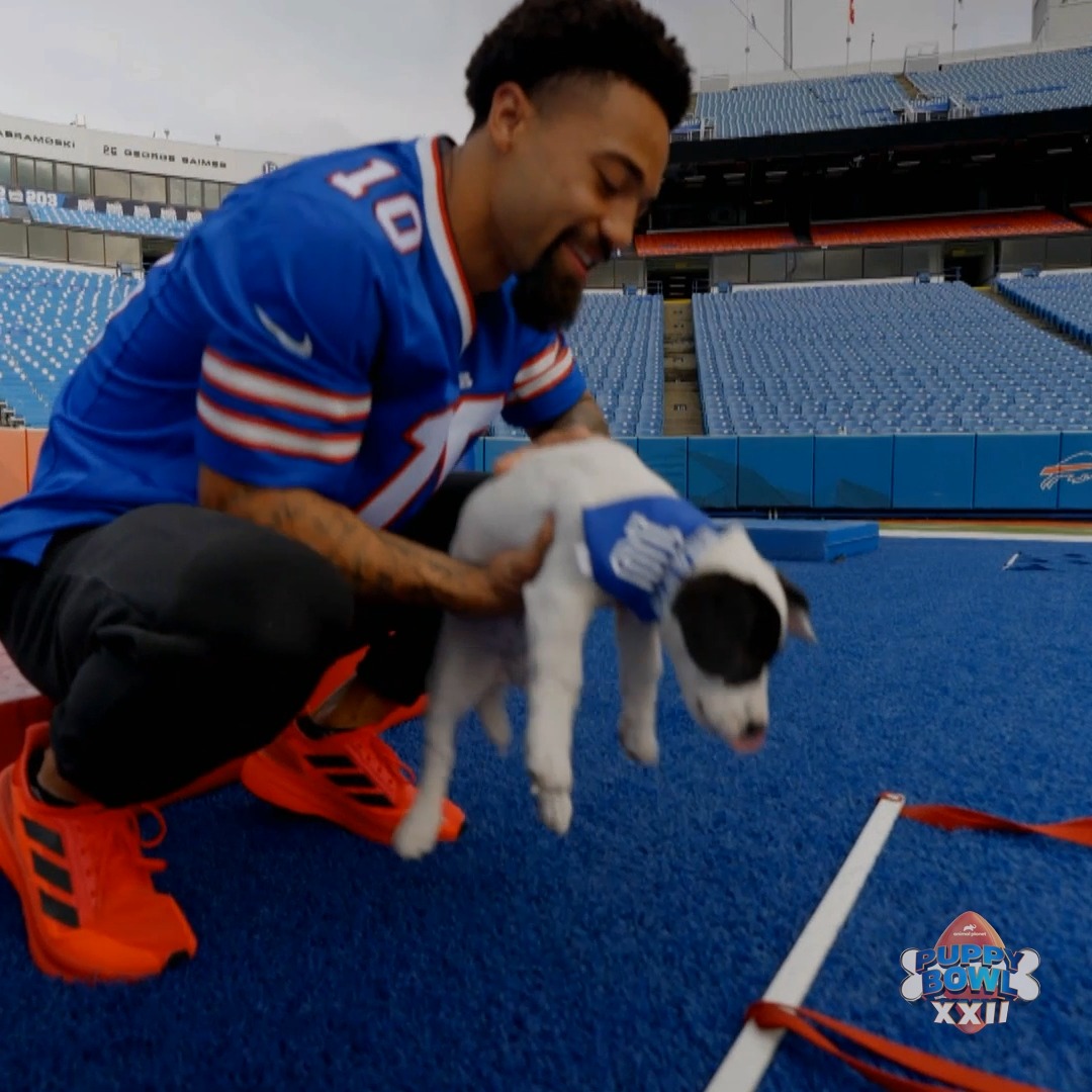 Thanks to Khalil, Button was more prepared than EVER to hit the field this year 🏈 #PuppyBowl