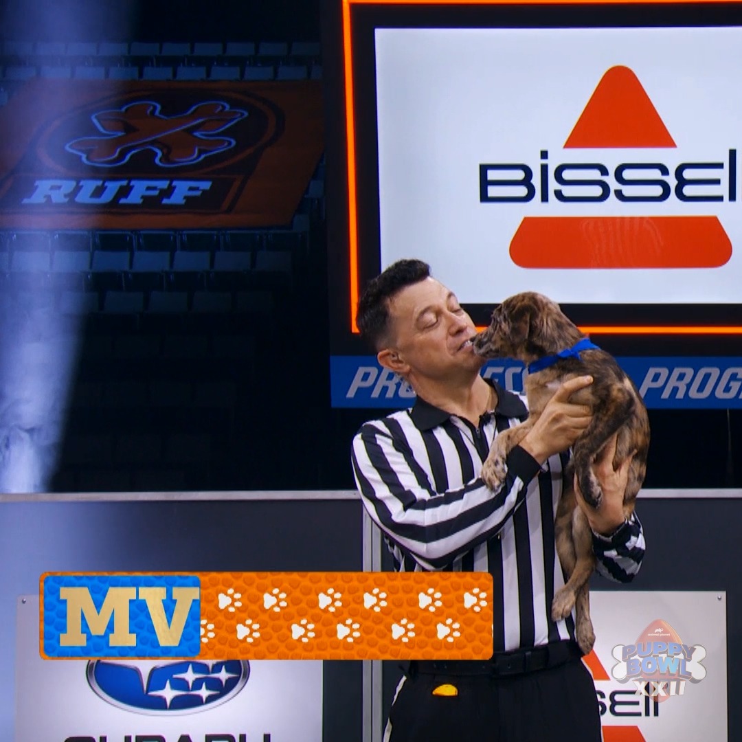 The votes are in... and BOBA is your 2026 #PuppyBowl XXII MVP! 🎉
