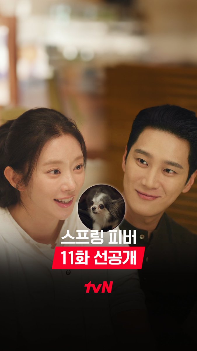 [11화 선공개] 뀨봄 눈에 꿀이 뚝뚝💓 봄식이와 함께 심야 산책으로 기분 전환하자 멍🐶 풀버전은 👉🏻 #tvNDRAMA유튜브 #네이버tv [월화] 저녁 8:50ㅣtvN #즐거움엔20tvN #스프링피버 #SpringFever