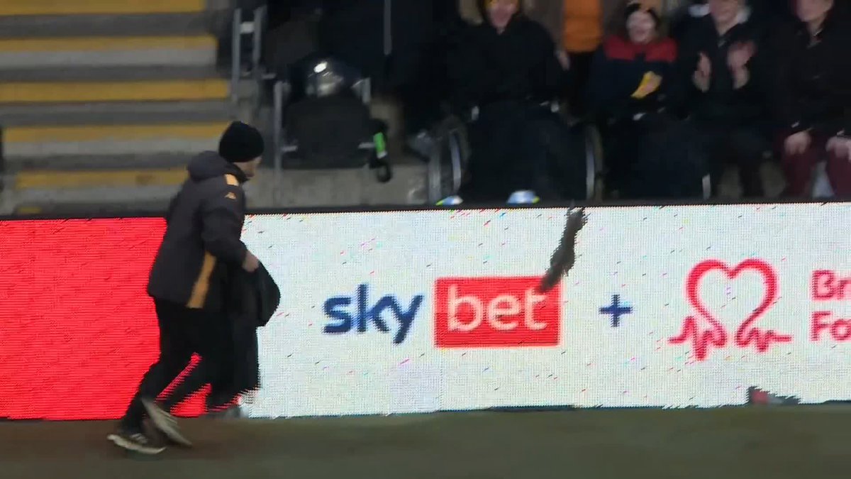 "What are the protocols for a squirrel?" Ref Watch react after Hull's match with Bristol City was temporarily held up as a squirrel got onto the pitch, nipped in goal and dodged capture before fleeing up into the stands 🐿️