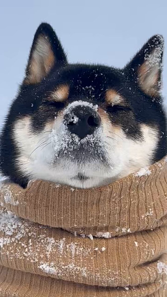 雪降る中 電車待ってたの