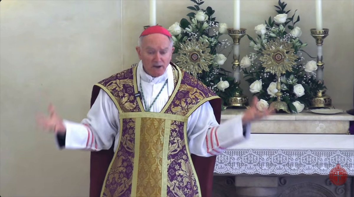 Bishop Fellay SSPX y'day on the “state of emergency” &amp; consecration of bishops: “they [wider Church] are not able to fulfill what they are for – that is saving souls” Consecrated by Archbishop Lefebvre in 1988, he was superior general of the SSPX News: Society of Saint Pius X 1994 to 2018