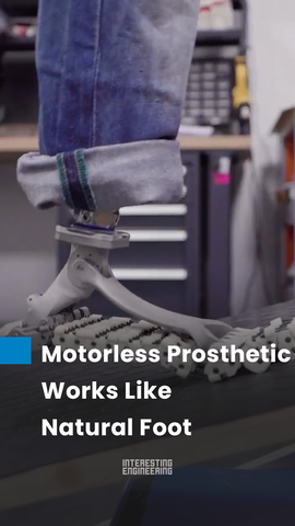 The SoftFoot Pro by the Istituto Italiano di Tecnologia mimicks human biomechanics to achieve a more natural gait for its user, without any motor needed.