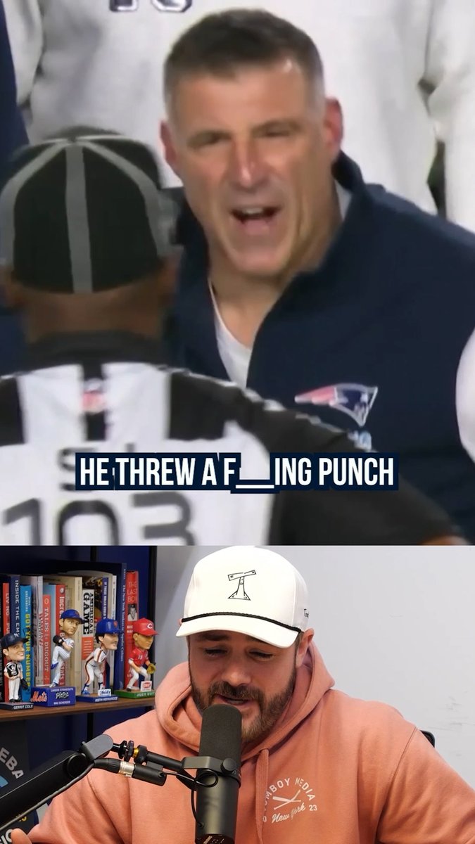 Mike Vrabel tells the referee to wake the fuck up after Stefon Diggs got punched in the helmet, a breakdown