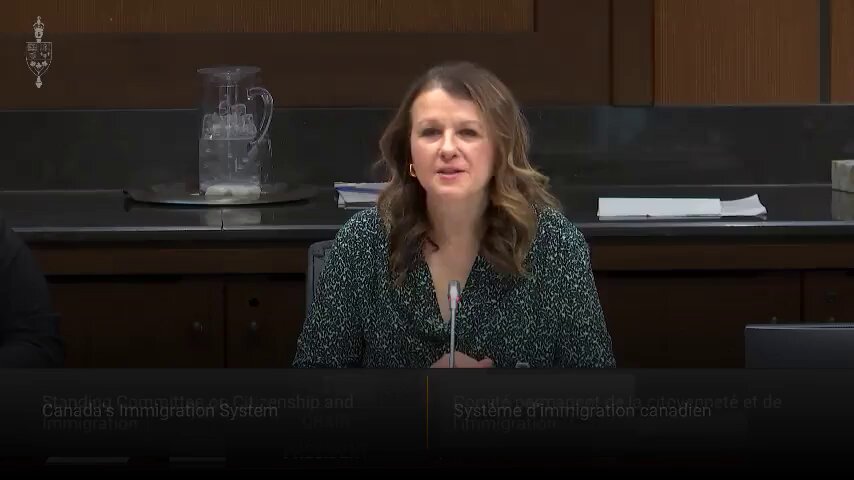 At the Immigration committee, Steven J. Paolasini criticizes Canada's immigration system for prioritizing quotas over economic potential.