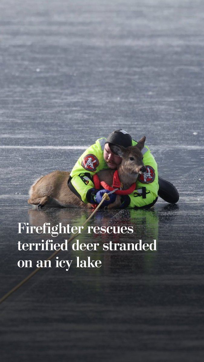 A deer was stranded about 500 feet out on Washington state’s Loon Lake. Firefighter Gavyn Gallagher and his team arrived to help.