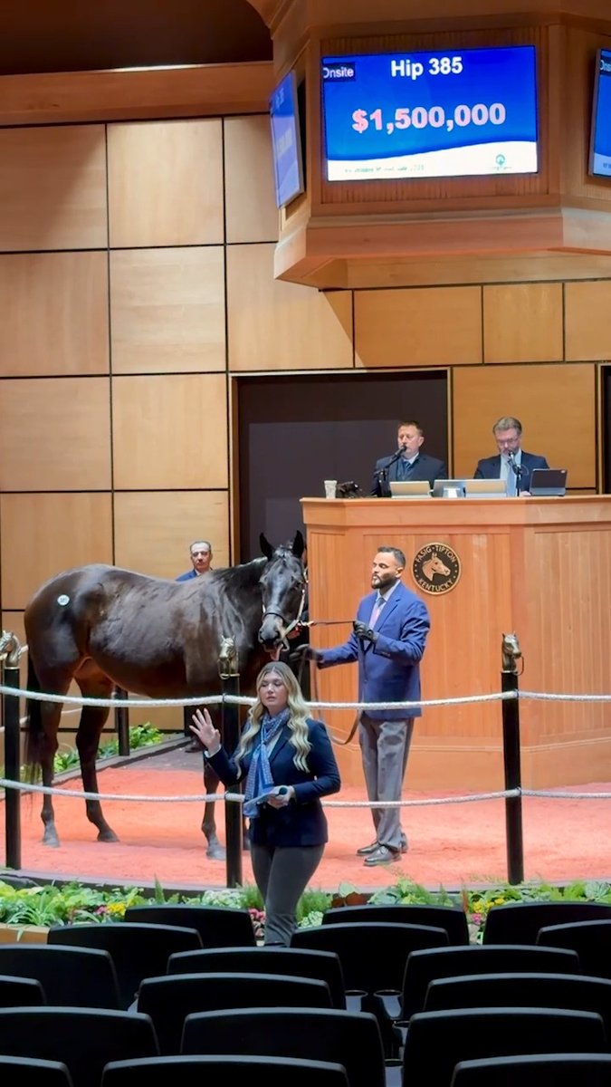 🍦 G1SW ISCREAMUSCREAM (hip 385) sells for $1,500,000 at Kentucky Winter Mixed! Congrats to the connections: B: Katsumi Yoshida C: Taylor Made Farm, agt h/t Little Red Feather Racing 🧡