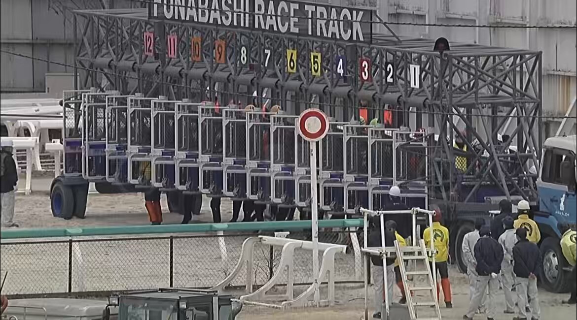 本日の船橋競馬1R「C3五」においてウインバリアシオン産駒のシャイニングアースが優勝‼️🥇 見事に4勝目を挙げました‼️🙌 ポンとゲートを出ると先行し好位へ。直線へ向いて先頭を捉えると2着馬に3/4馬身差でゴール‼️ オタクインパクトの全弟が2024年8月以来の勝利の美酒を味わいました‼️🥂 馬主の（有）総武開発様、厩舎関係者の皆様、生産者の青森県東北町•（有）荒谷牧場様、おめでとうございました‼️😌
