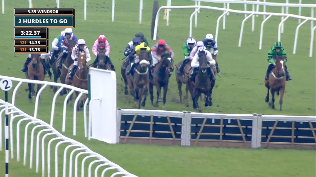 Secret Squirrel has an entry in the Grade 2 Kingwell Hurdle on Saturday. ○ Golden Ace - 5/4 ○ Alexei - 5/2 ○ Potters Charm - 4/1 ○ Rubaud - 6/1 ○ Kateira - 20/1 ● Secret Squirrel - 33/1 🧐 After his bad injury last year, is he ready to race? 🤔