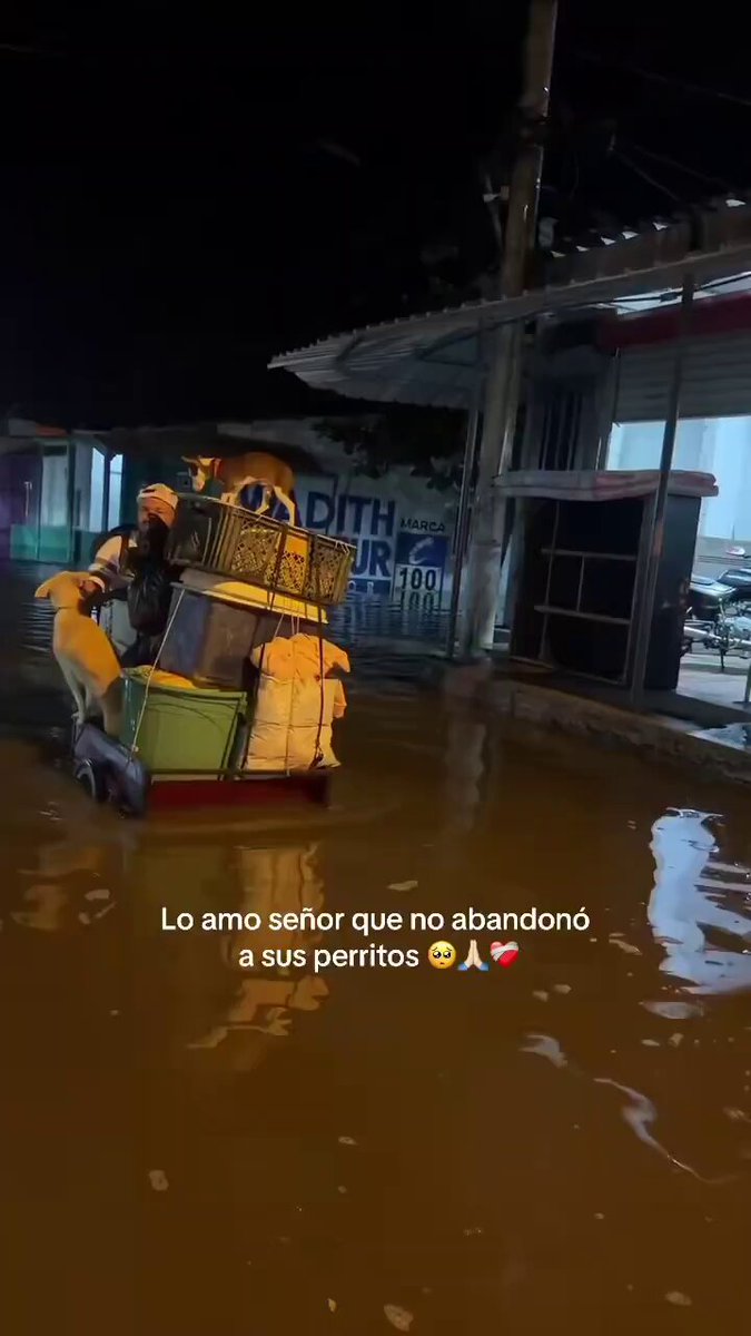 #Viral ¡Conmovedor! Hombre en Córdoba conmovió a miles al dar refugio en su carretilla a perritos callejeros que quedaron atrapados en medio de las terribles inundaciones que azotan al departamento. La desgarradora pero adorable escena en medio de la tragedia se ha hecho viral en redes sociales.