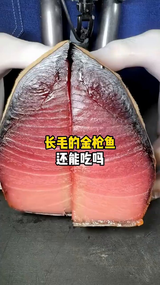 为啥长毛的金枪鱼，还能卖出高价？
