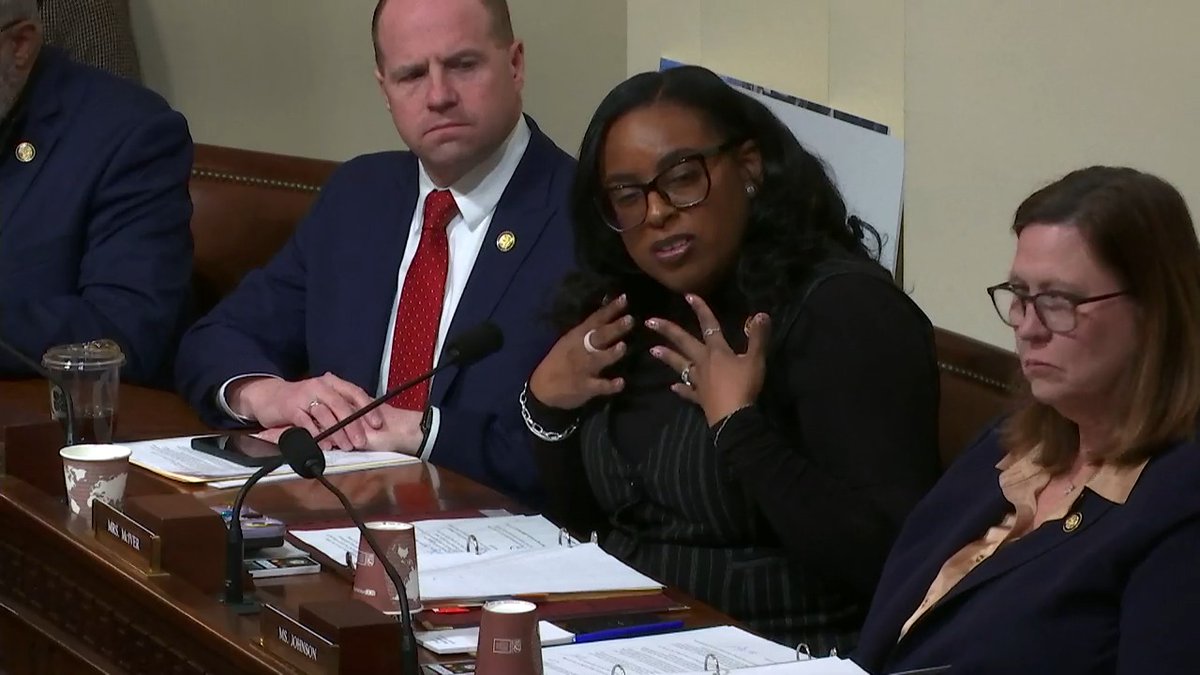 UNHINGED! Democrat LaMonica McIver is currently under indictment for ASSAULTING ICE agents Today, she had a total meltdown during a Homeland Security hearing, telling Acting ICE Director Todd Lyons he’s “going to hell.” Watch for yourself.