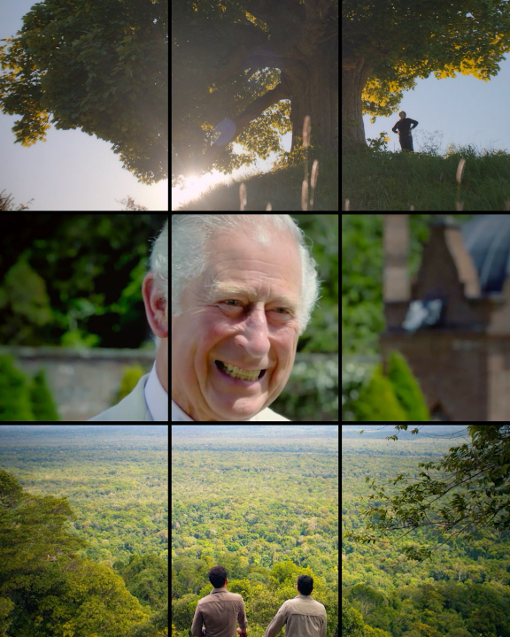 At one with nature 💚 🎥 Finding Harmony: A King's Vision